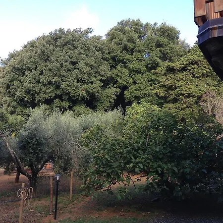 La Rosa Canina Bed & Breakfast Lerici