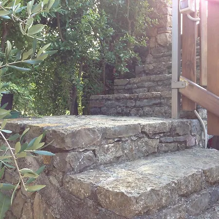 Agriturismo La Rosa Canina Bed & Breakfast