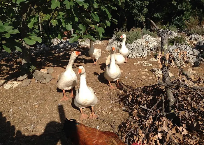 Nocleg ze śniadaniem Agriturismo 